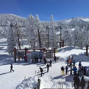 Meet your Posher, Marcus